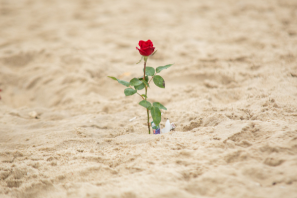 El factor cultural en una repatriación funeraria: una guía esencial