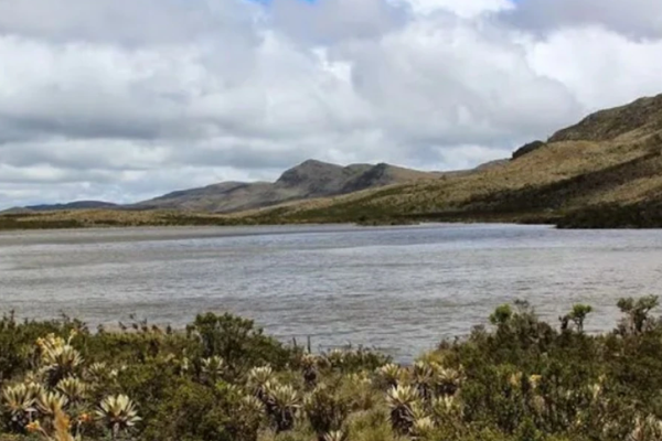 Páramo de Guerrero: poderoso santuario homenaje en Colombia