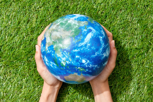 Innovación Funeraria: el auge de los homenajes ecológicos