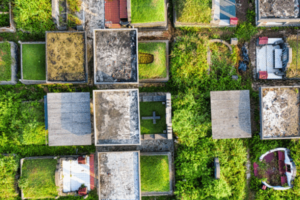 Entierro ecológico en Nueva York: Alternativas sostenibles para un adiós con impacto positivo