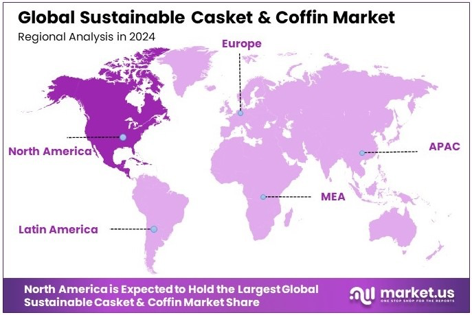 Ataúdes ecológicos en crossing world group estudio de market.us