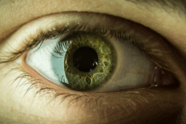 Descubre si eres Highly Sensitive Person con estas 3 señales