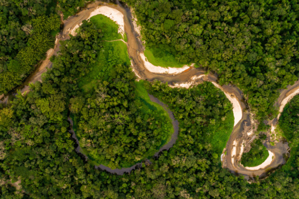 Urnas funerarias en el Amazonas: un hallazgo que cambia la historia
