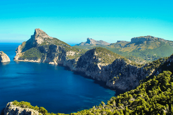Bosque de la Vida para esparcir cenizas en Palma