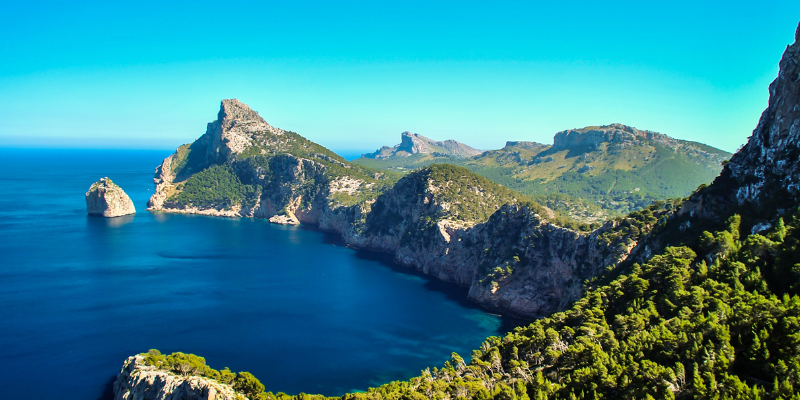 Bosque de la Vida para esparcir cenizas en Palma en crossing world group