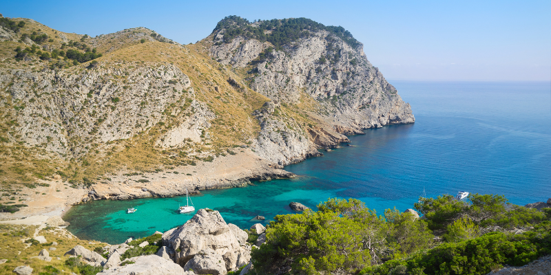 Bosque de la Vida para esparcir cenizas en Palma en crossing world group